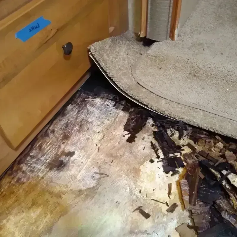 Wood Floor Water Damage in Round Rock, TX